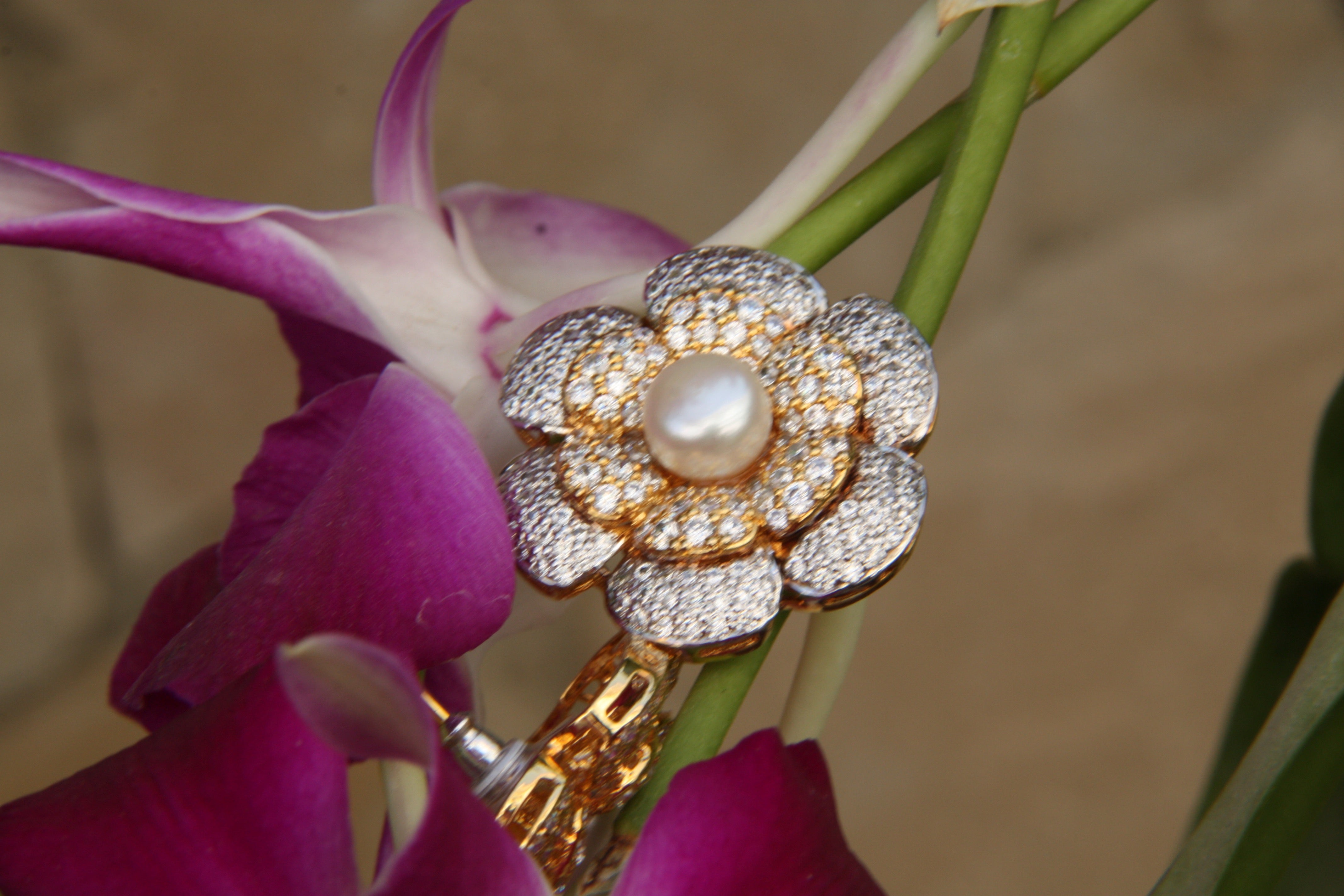 Classic Royal Alkamilia Earrings