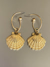 Statement Shell Dangles